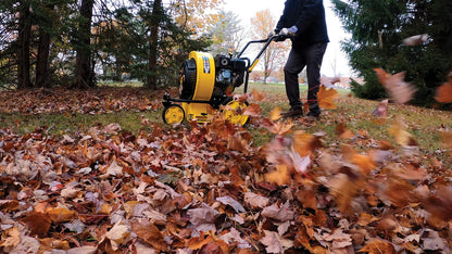 Champion Power Equipment 212cc 1200 CFM Walk-Behind Leaf Blower