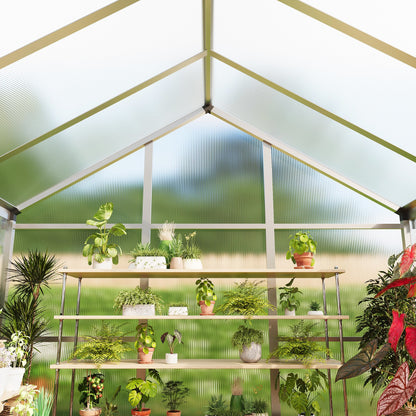 6X8FT Greenhouse, Aluminum Polycarbonate Outdoor Green House, Green Houses for Outside with Sliding Doors, Ajustable Roof Vent, Withstands Bad Weather for Garden, or Backyard, Silver