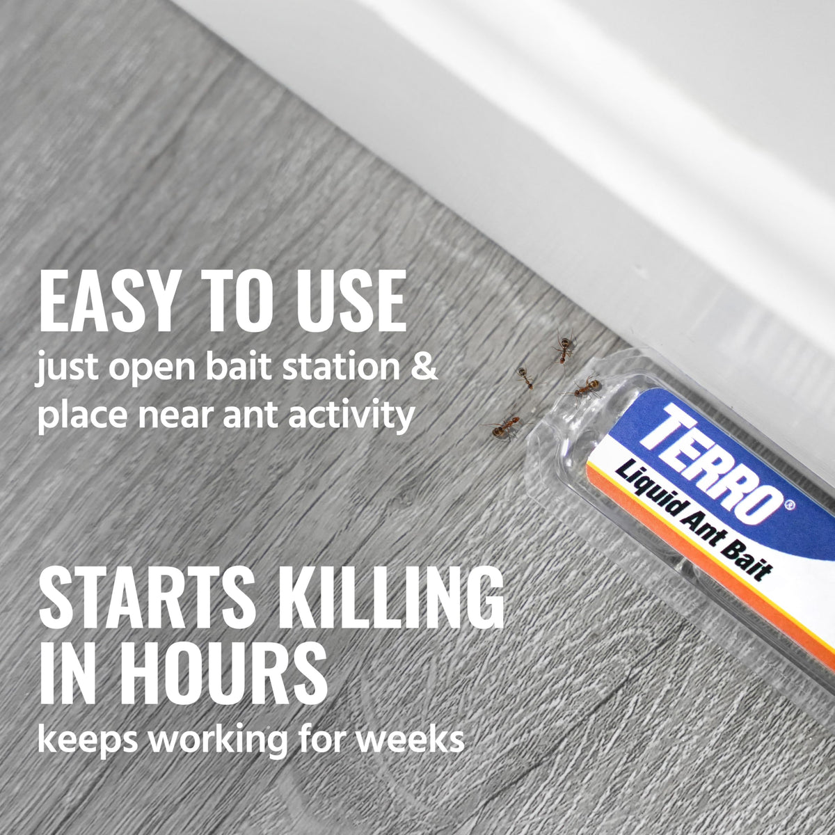 TERRO Ant Killer Bait Stations T300B - Liquid Bait to Eliminate Ants - 12 Count Stations for Effective Indoor Ant Control