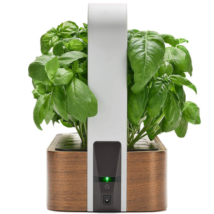 EDN SmallGarden with Basil SeedPods, Indoor Grow Smart Garden for iOS Devices - Fresh Home Grown Herbs, Plants and Flowers - Grow up to 10 Different Plants at Once