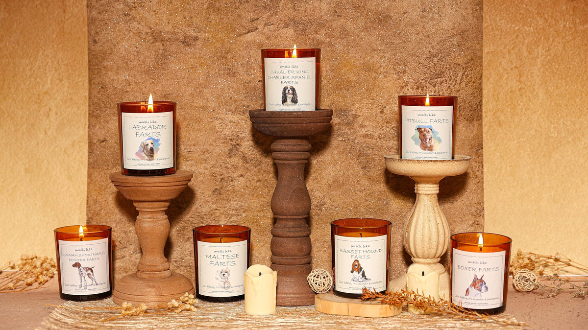 German Shorthaired Pointer Gifts, GSP Gift, Smells Like German Shorthaired Pointer Farts Candle - Lavender & Eucalyptus, Crafted by Natural Soy Wax & Natural Essential Oils